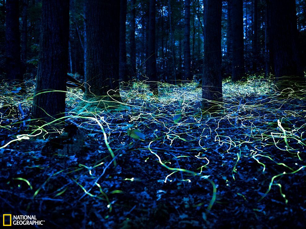 U5385P2T682D1213F21619DT20130908181341.jpg U5385P2T682D1213F21619DT20130908181341.jpg