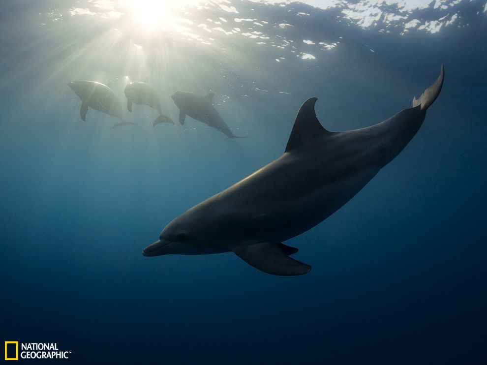 U5385P2T682D1211F21619DT20130905094216.jpg U5385P2T682D1211F21619DT20130905094216.jpg