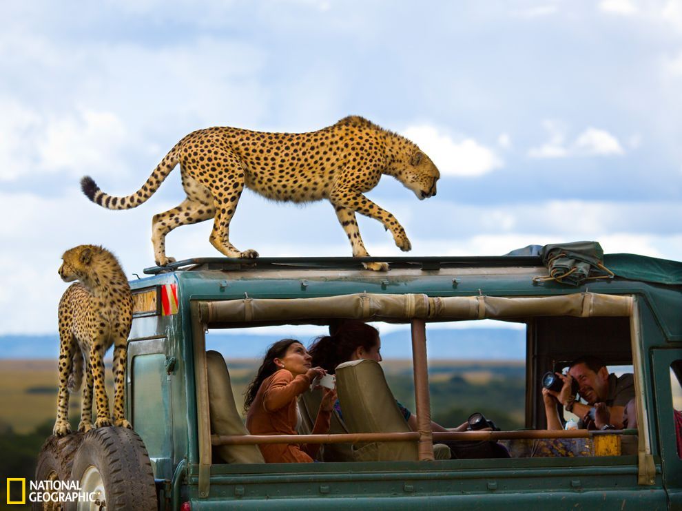 U5385P2T682D1217F21619DT20130911062116.jpg U5385P2T682D1217F21619DT20130911062116.jpg