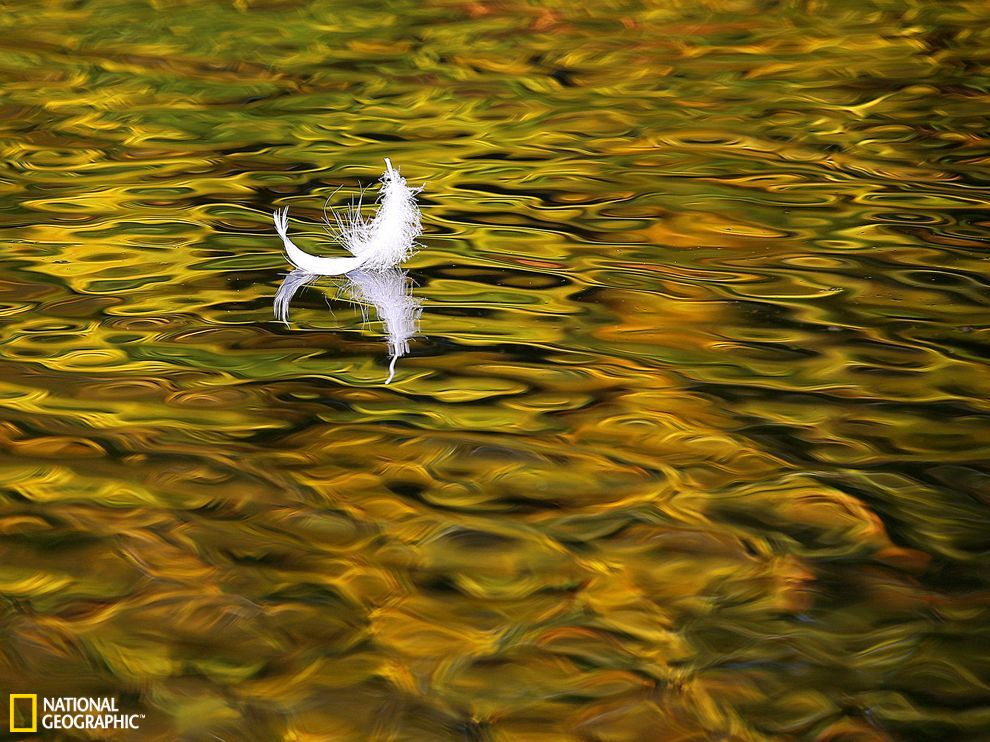 U5385P2T682D1225F21619DT20130919101725.jpg U5385P2T682D1225F21619DT20130919101725.jpg