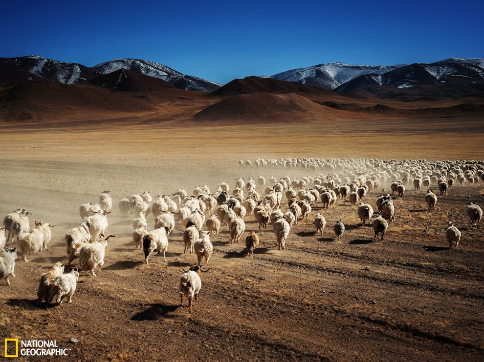 U5385P2T682D1223F21619DT20130917090144.jpg U5385P2T682D1223F21619DT20130917090144.jpg