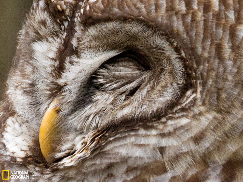 U5385P2T682D1231F21619DT20130925091339.jpg U5385P2T682D1231F21619DT20130925091339.jpg