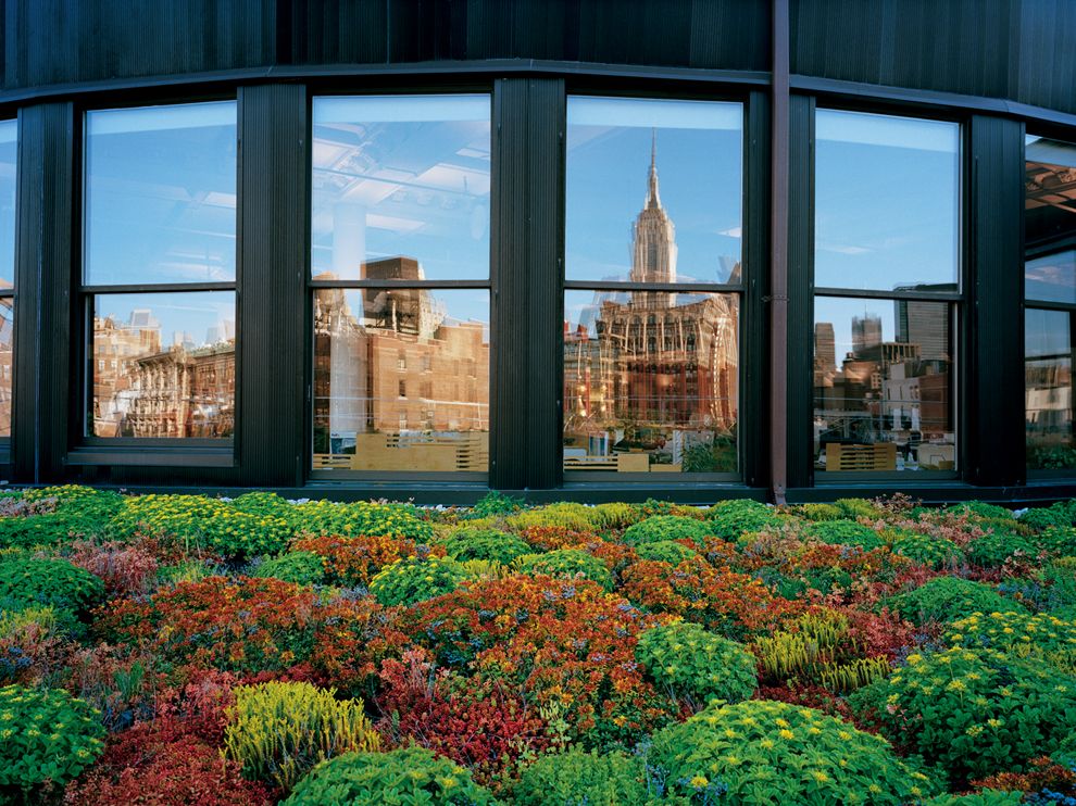 rooftop-garden-manhattan-cook-jenshel_69853_990x742.jpg