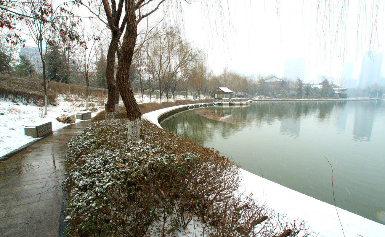 _MG_6944.jpg