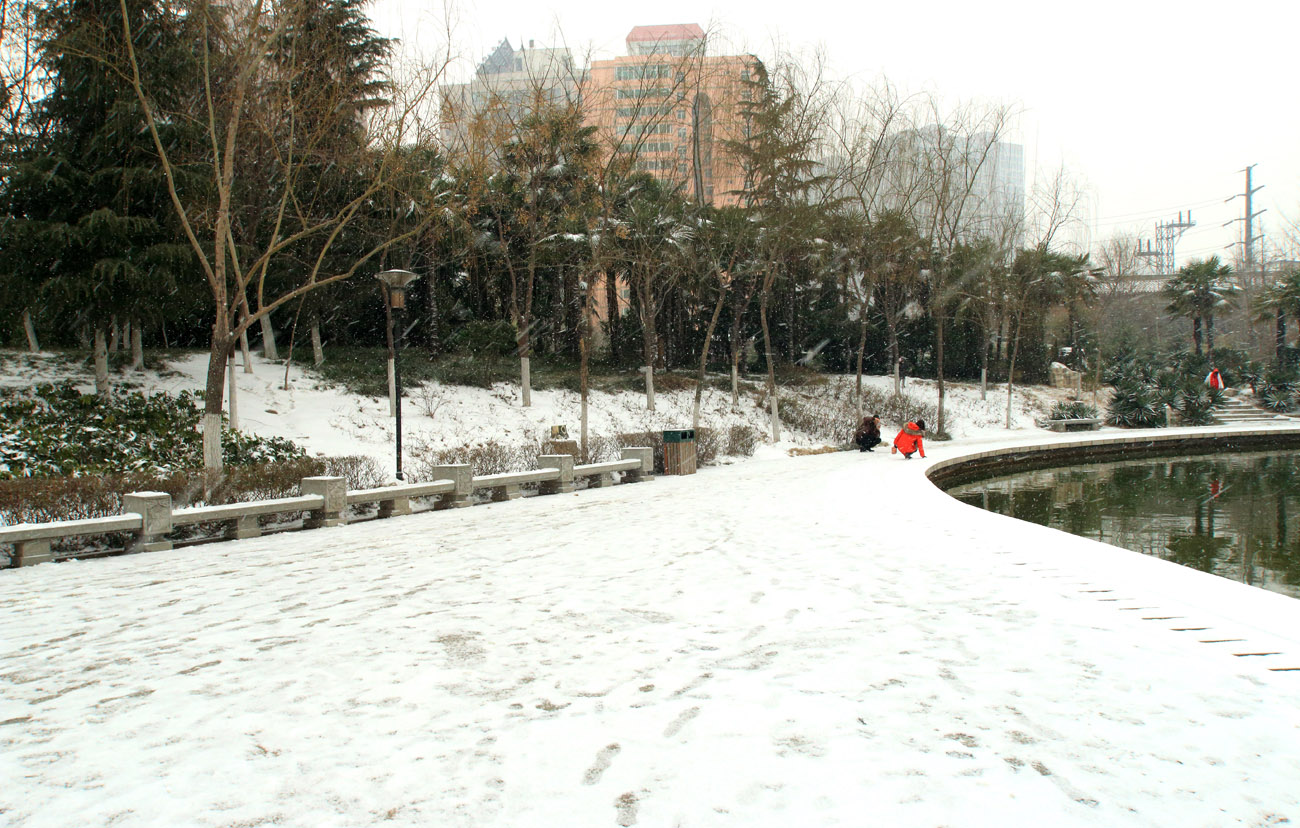 _MG_6960.jpg