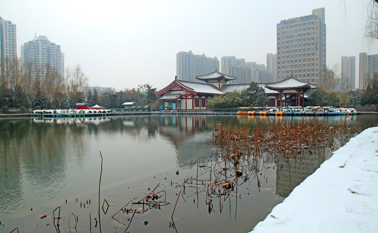 _MG_7117.jpg