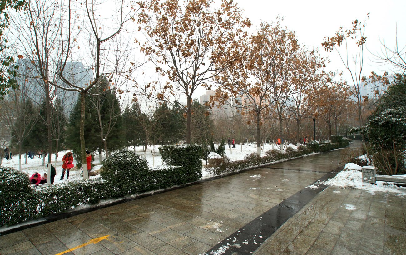 _MG_7262.jpg
