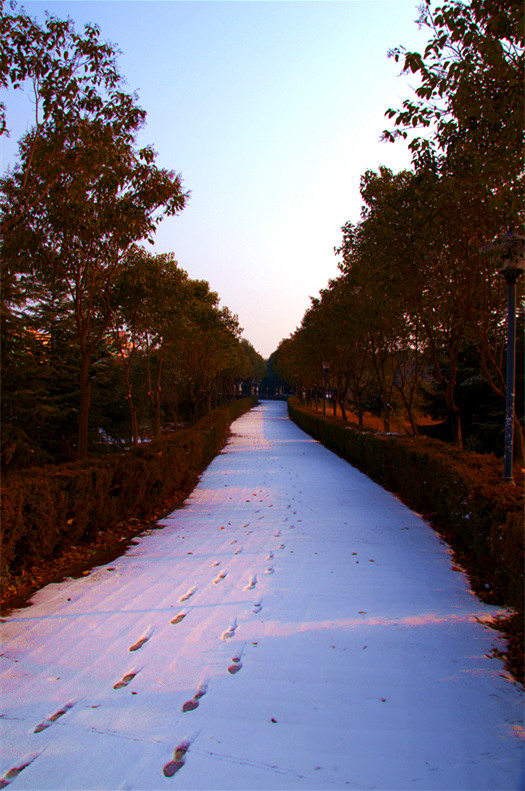 DSC_2447_副本.jpg