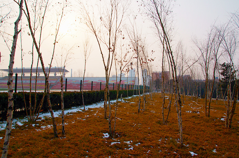DSC_2486_副本.jpg