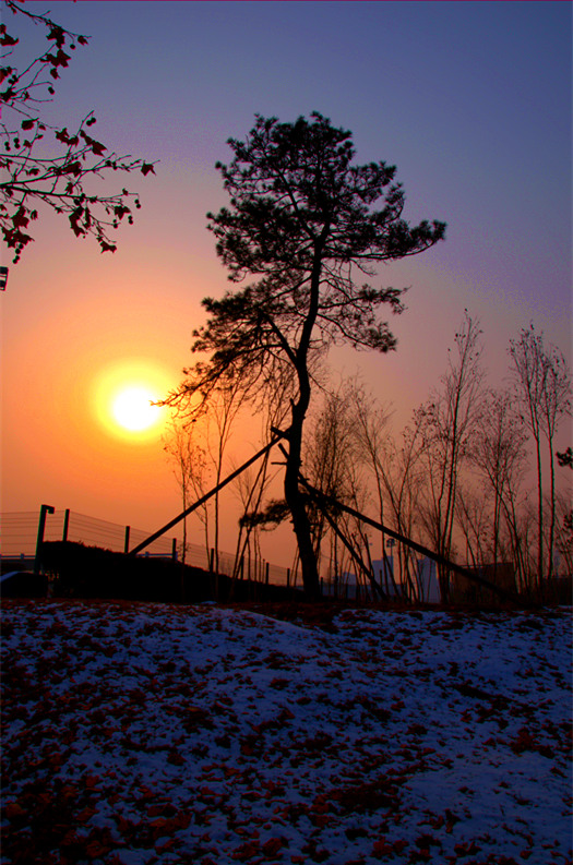 DSC_2485_副本.jpg