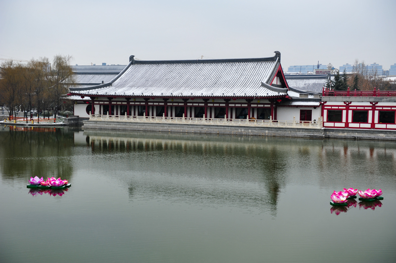 DSC_6856.jpg