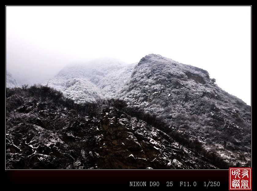 DSC_8638.JPG