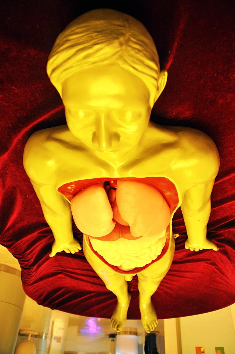 DSC_0031_conew1.jpg