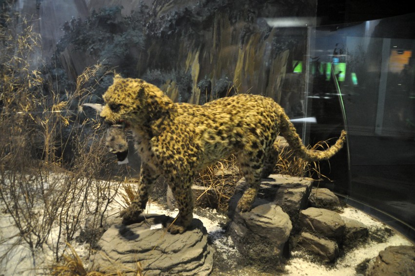 DSC_0060_conew1.jpg