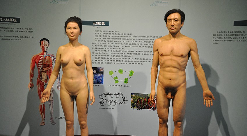DSC_0034_conew1.jpg