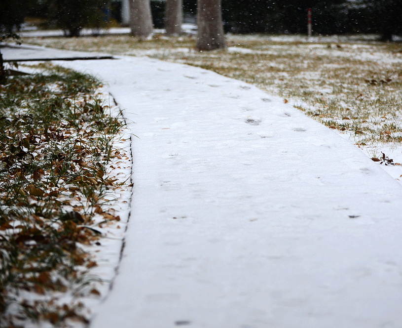 小区雪景2.jpg