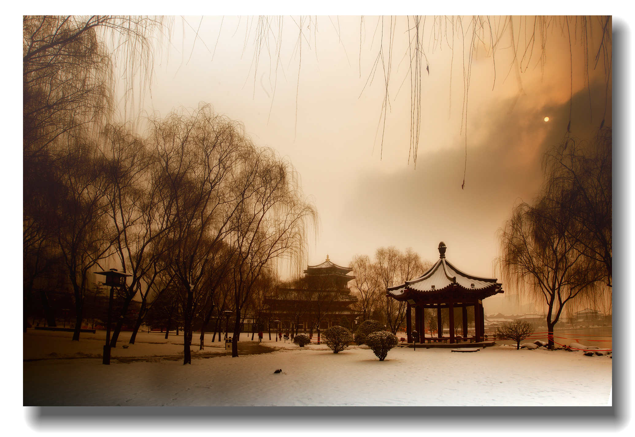 IMG_1580_副本.jpg