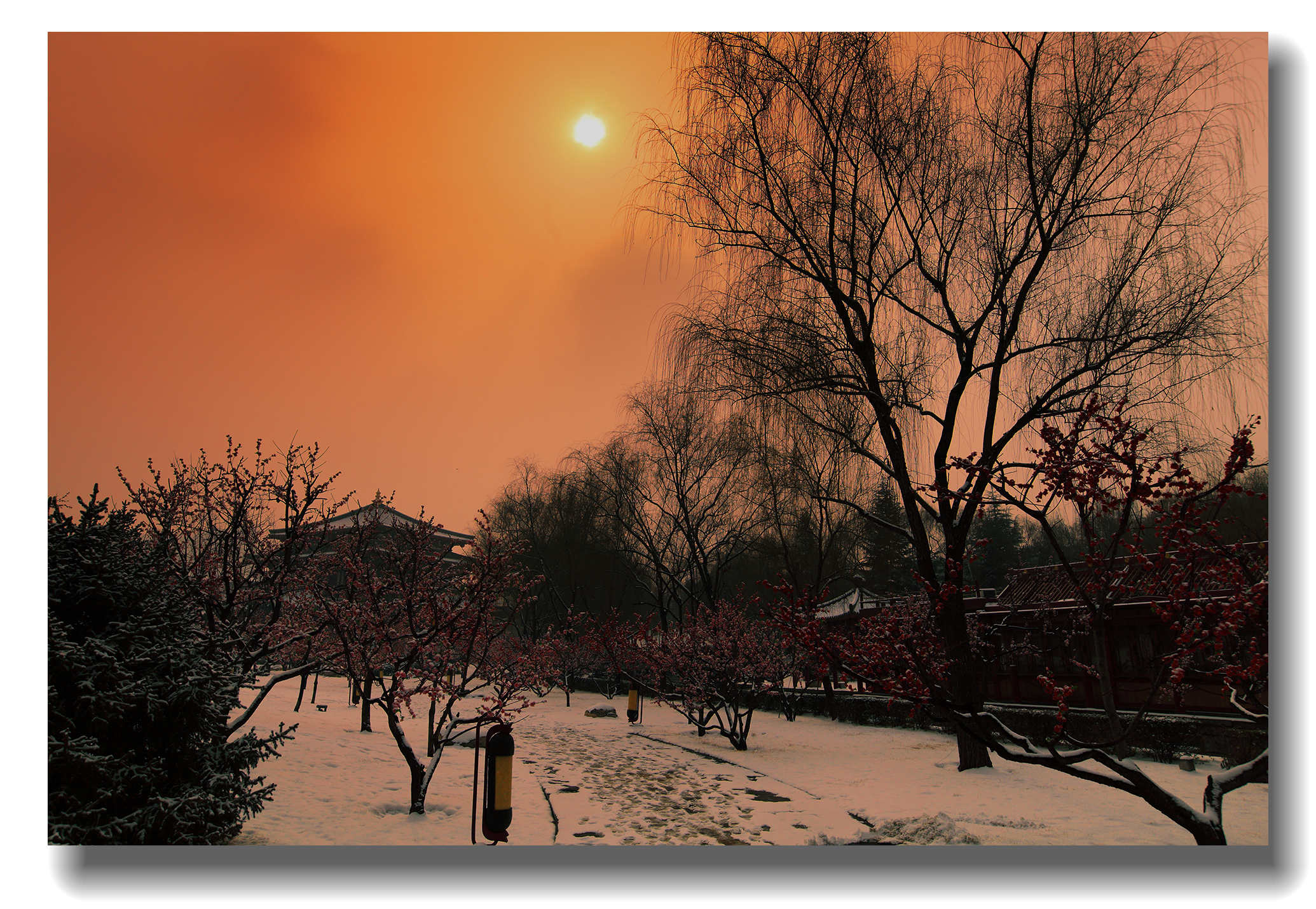 IMG_1634_副本.jpg