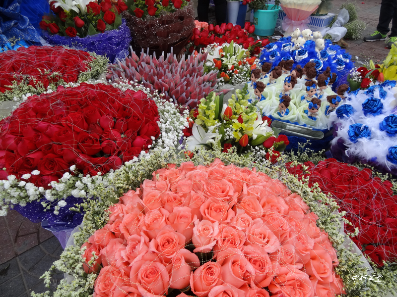 DSC07586.jpg