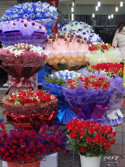 DSC07594.jpg