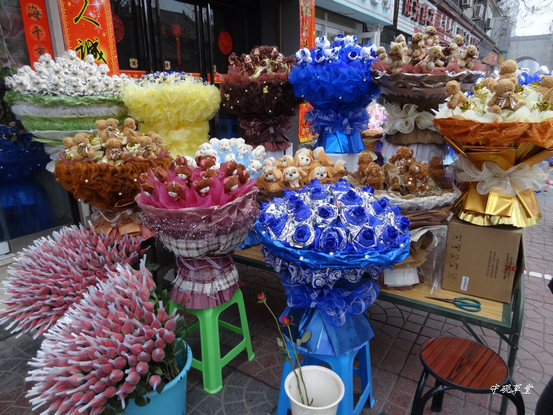 DSC07612.jpg