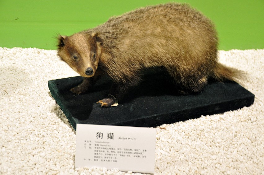 DSC_0004_conew1.jpg