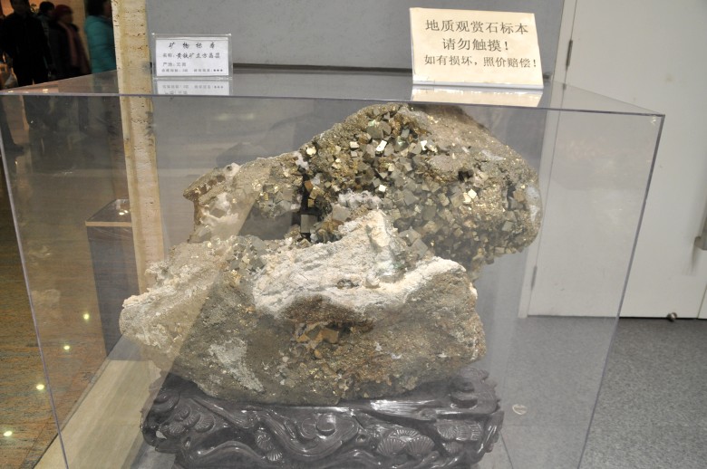 DSC_0007_conew1.jpg