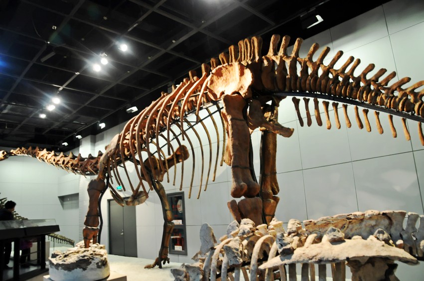 DSC_0009_conew1.jpg
