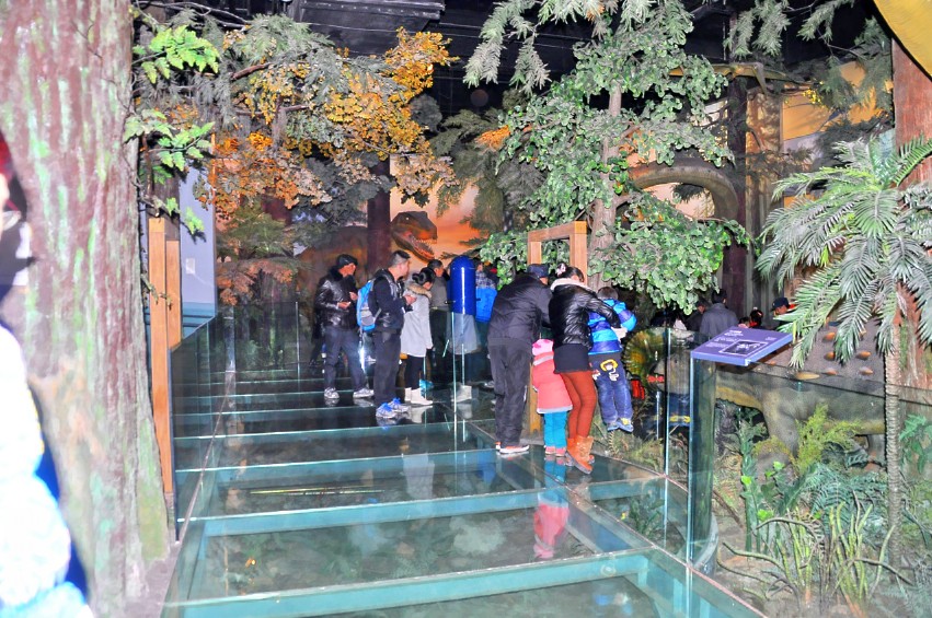 DSC_0021_conew1.jpg