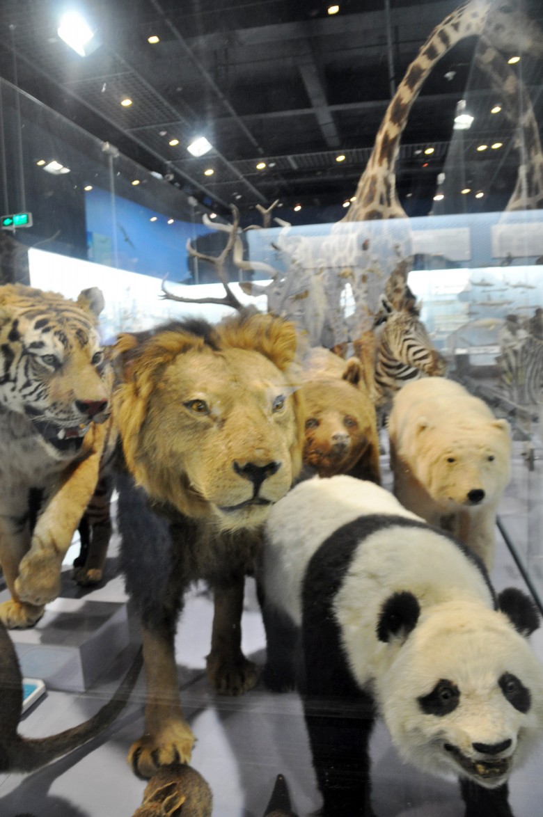 DSC_0044_conew1.jpg