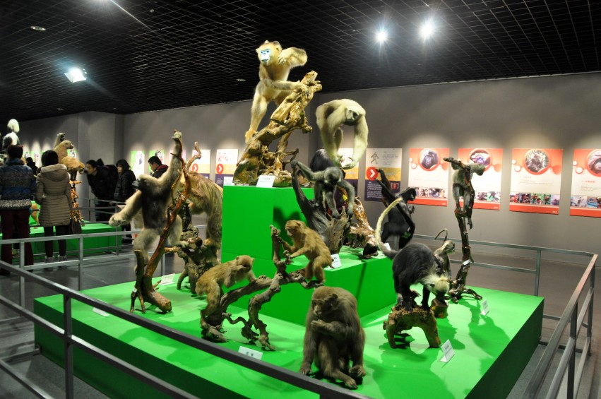DSC_1082_conew1.jpg