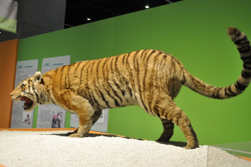 DSC_1107_conew1.jpg