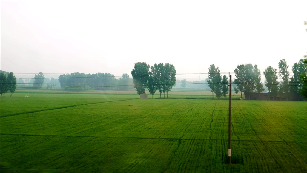 P1220780.JPG