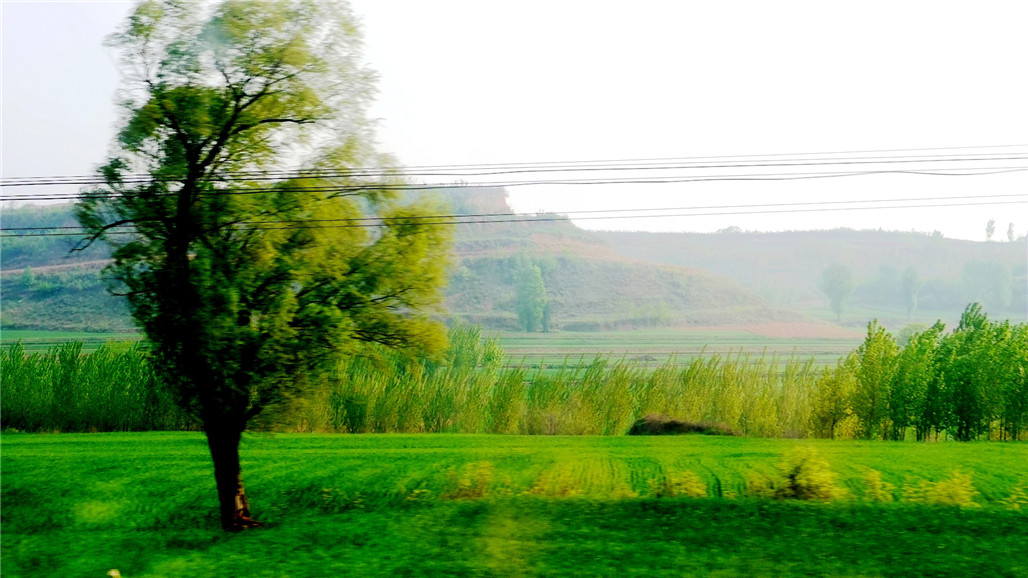 P1220841.JPG