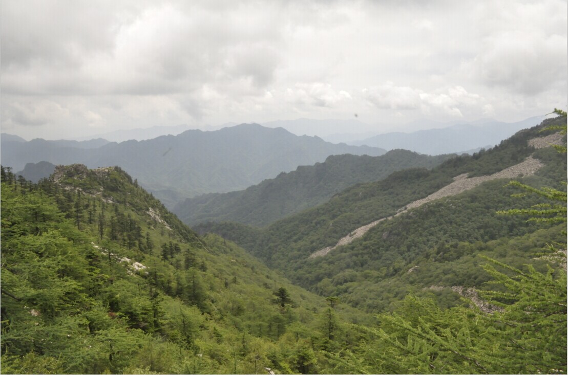 QQ图片20140812171626.jpg