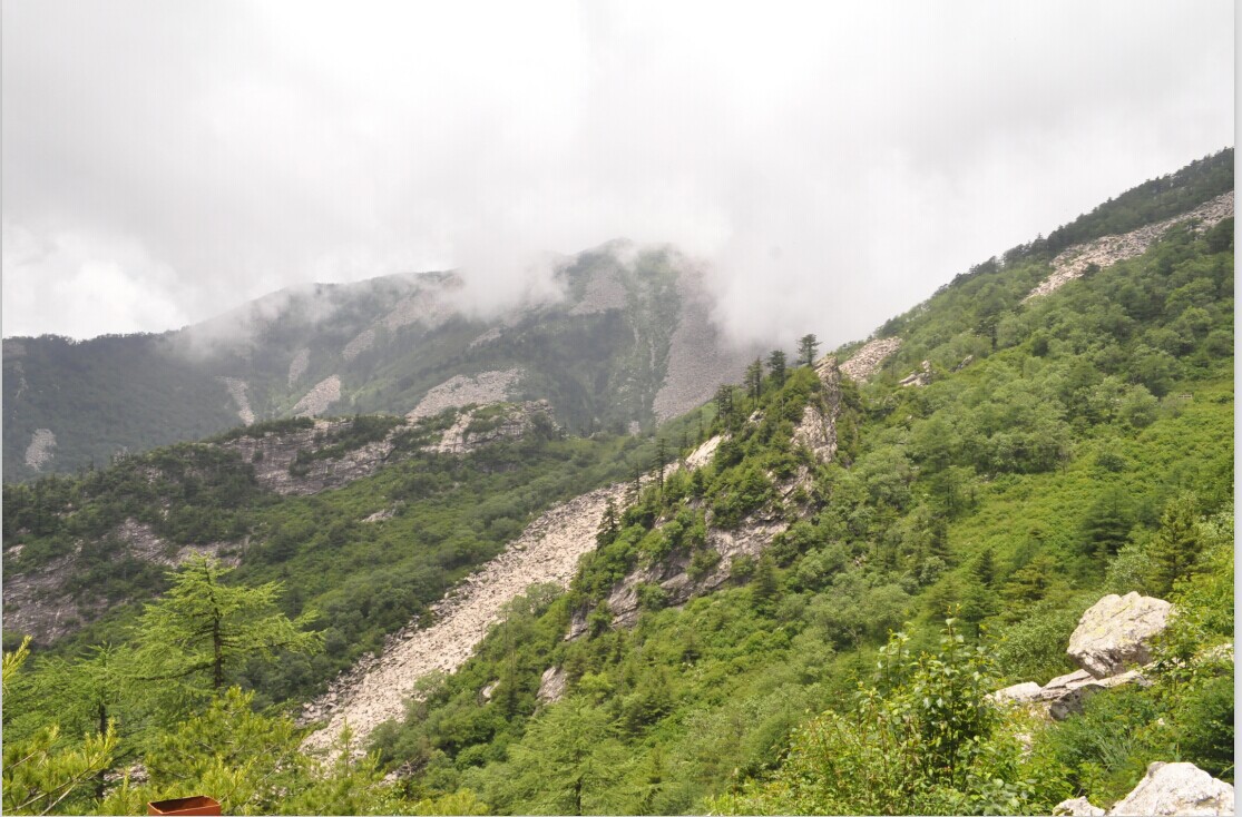 QQ图片20140812172019.jpg