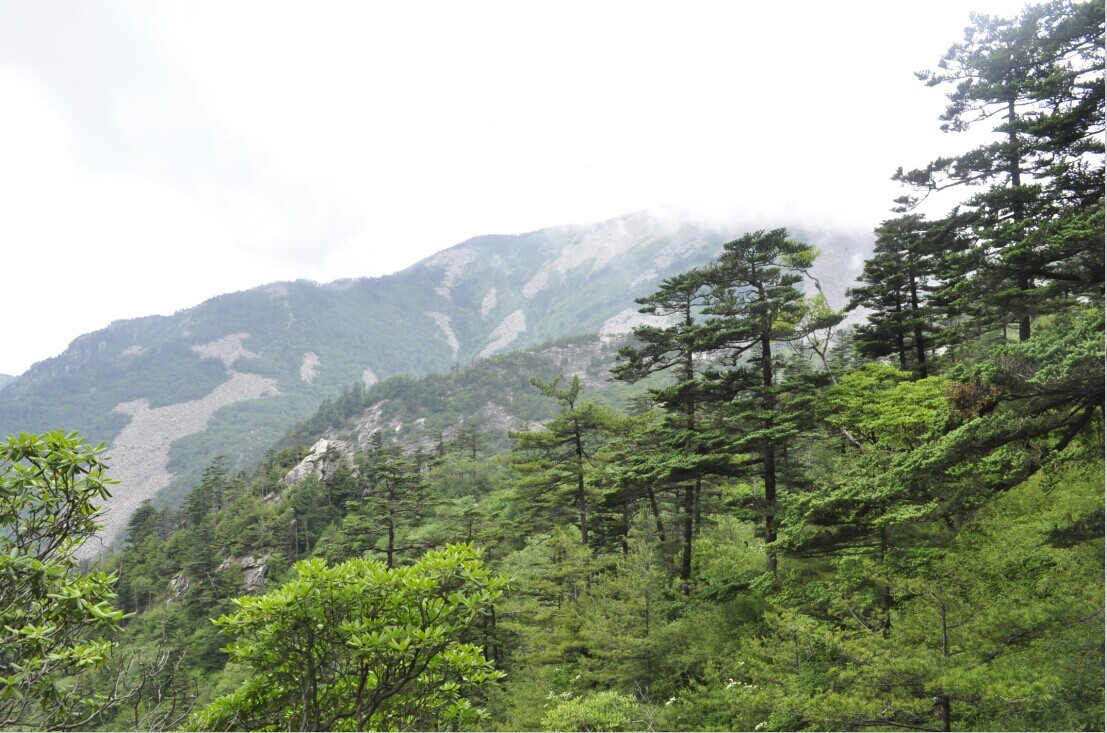 QQ图片20140812172050.jpg