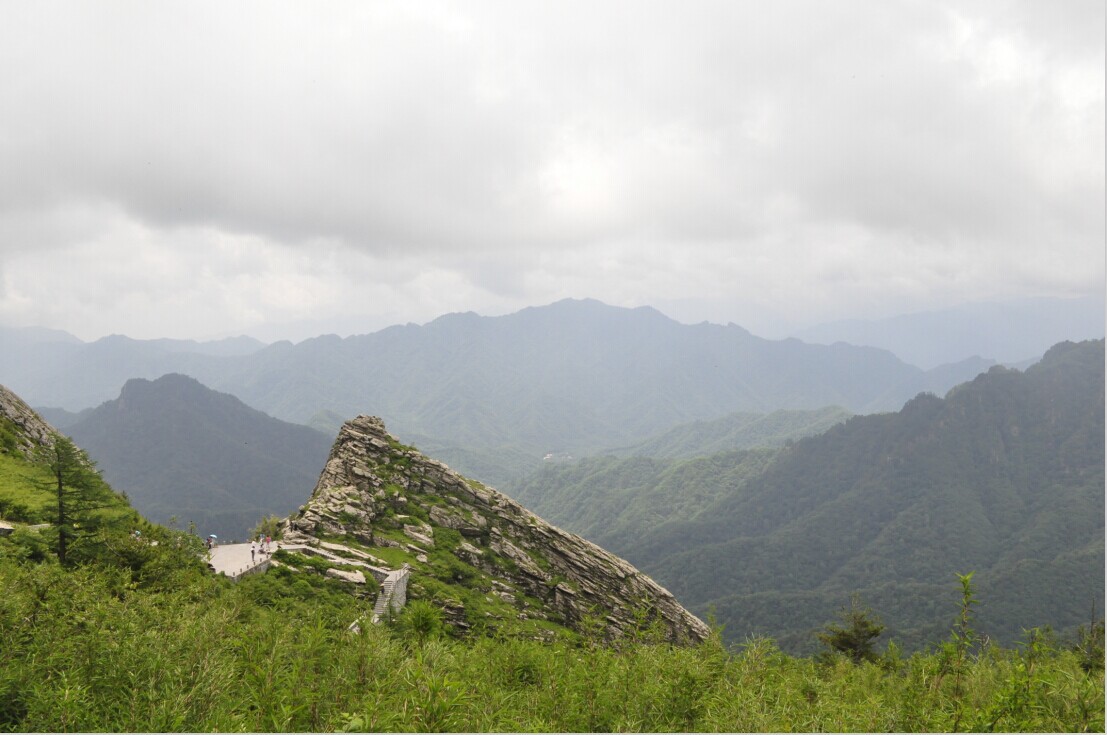 QQ图片20140812172215.jpg