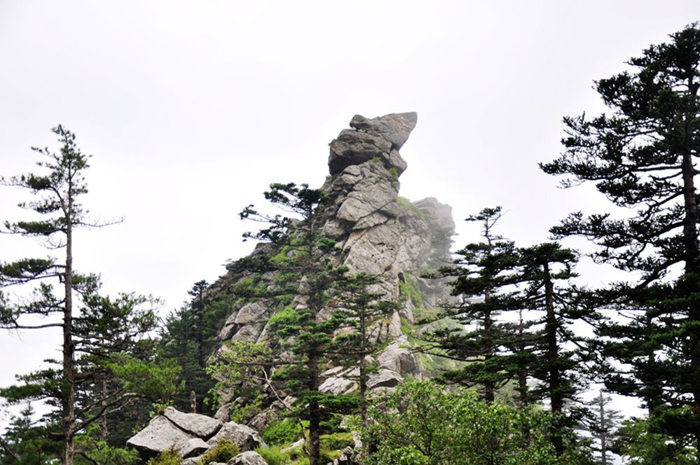 DSC_0172.jpg