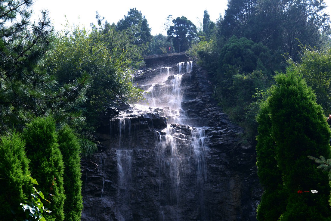 ZJF_3856.JPG