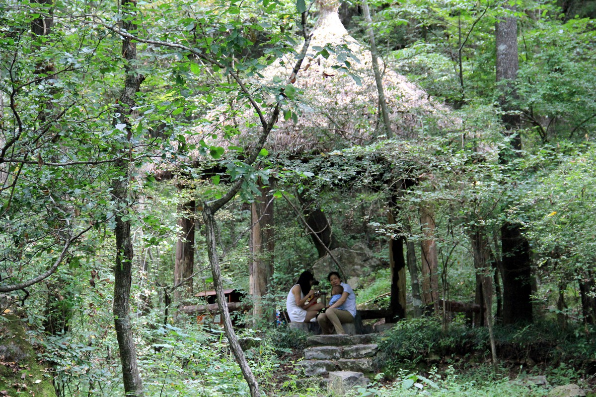 IMG_1779_副本.jpg