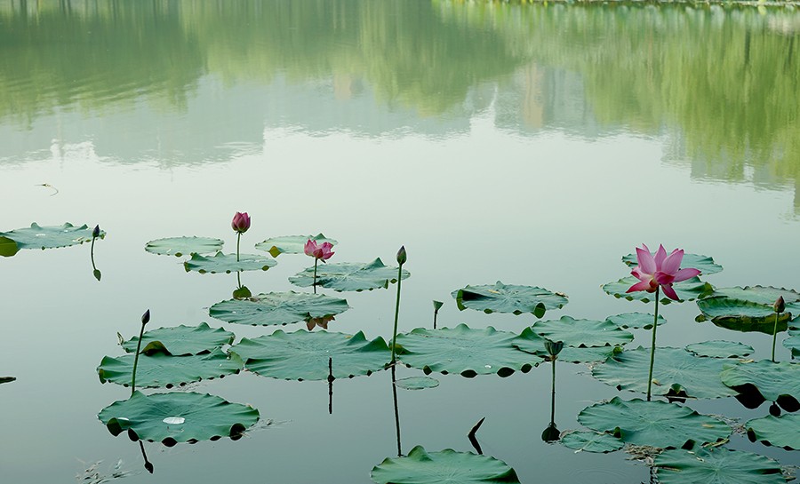 DSC02281选.jpg