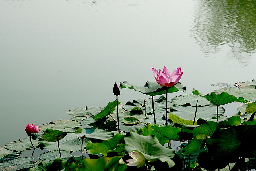 DSC02300选压.jpg