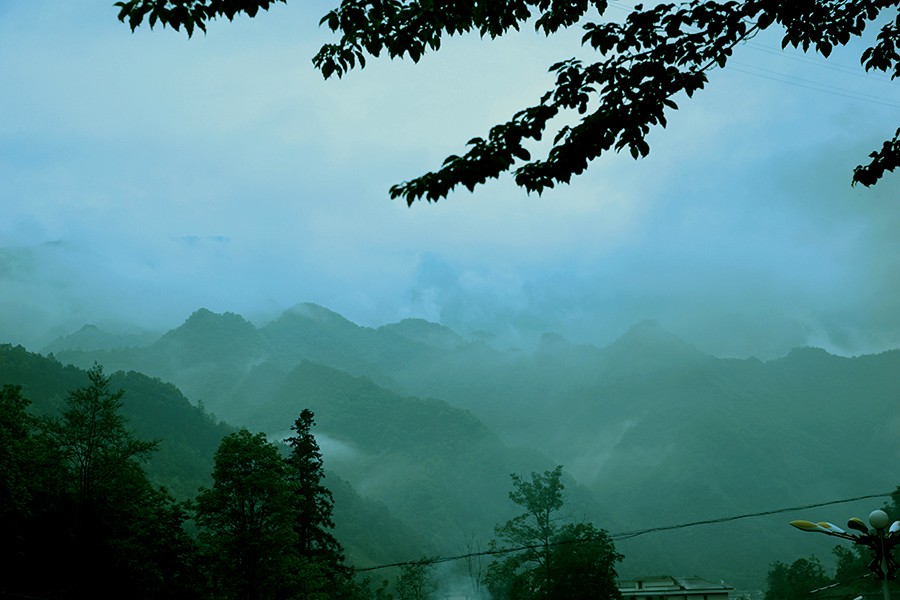 DSC03552_副本 副本.jpg