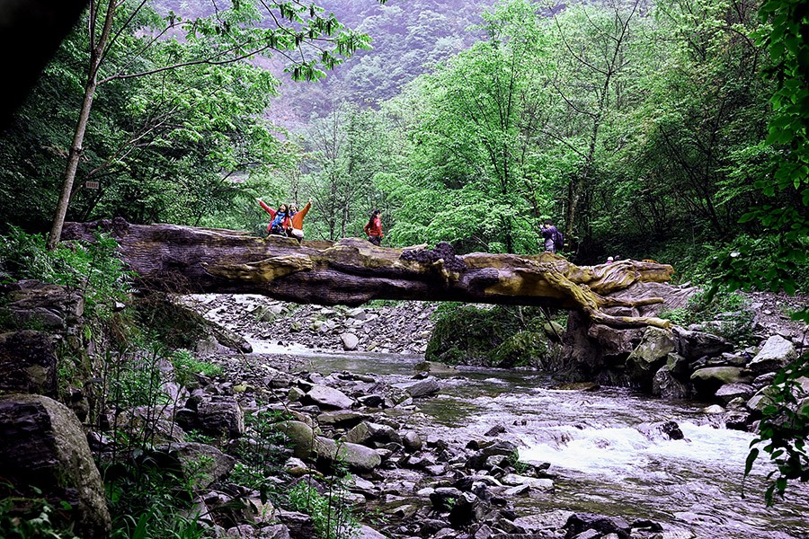 DSC03602_副本.jpg