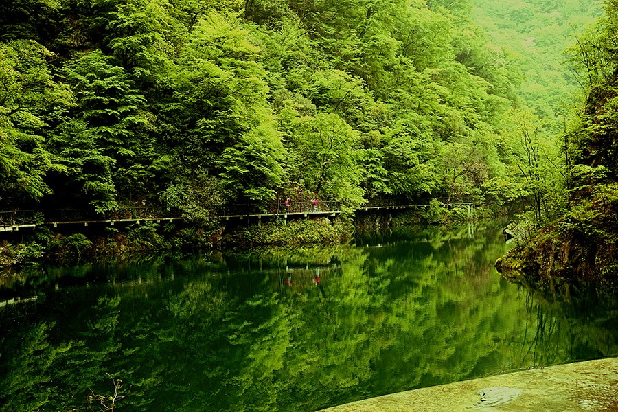 DSC03655_副本 .jpg