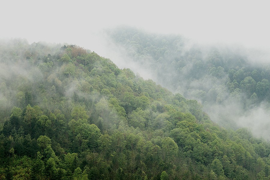 DSC09653_副本.jpg