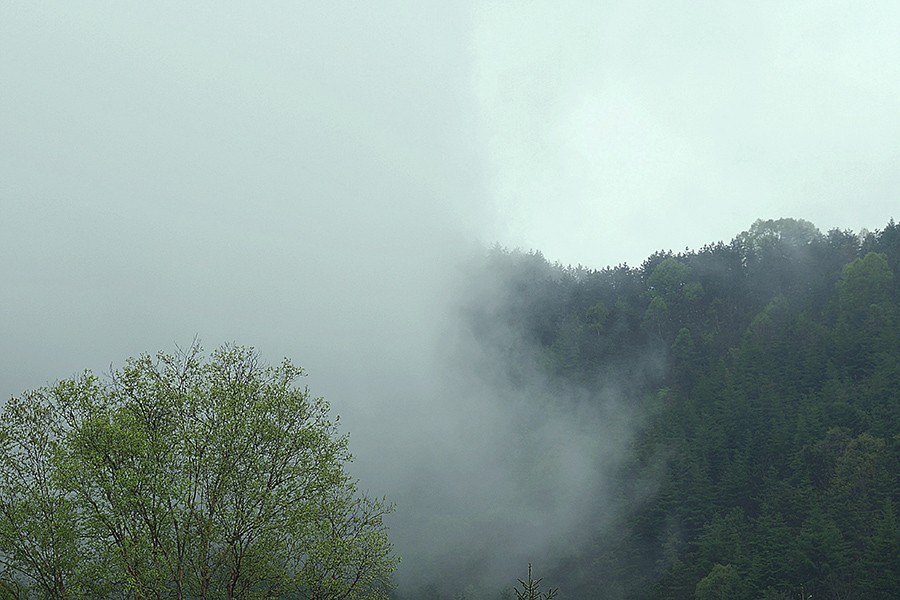 DSC09659_副本1.jpg