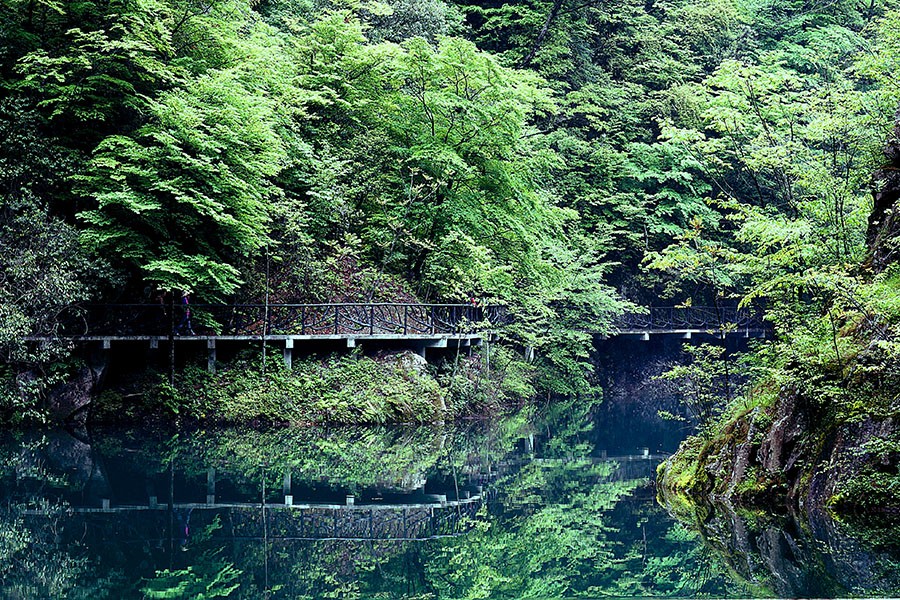 DSC09684_副本.jpg