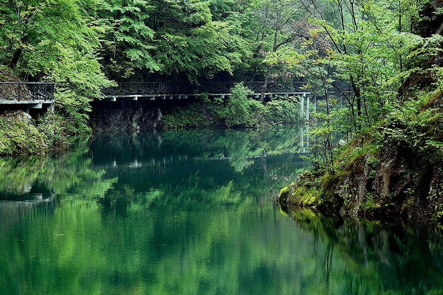 DSC09697_副本.jpg